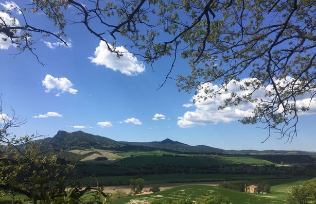 Casa Uva Agriturismo Le Selvole - Tuscany - Foto 23