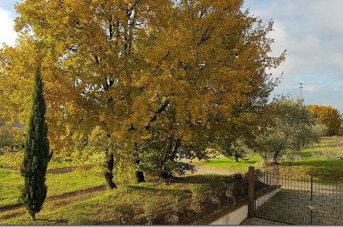 Photo 14 - Villino Cortona - Holiday Home With Pool, Wifi and A/c, Based in Tuscany