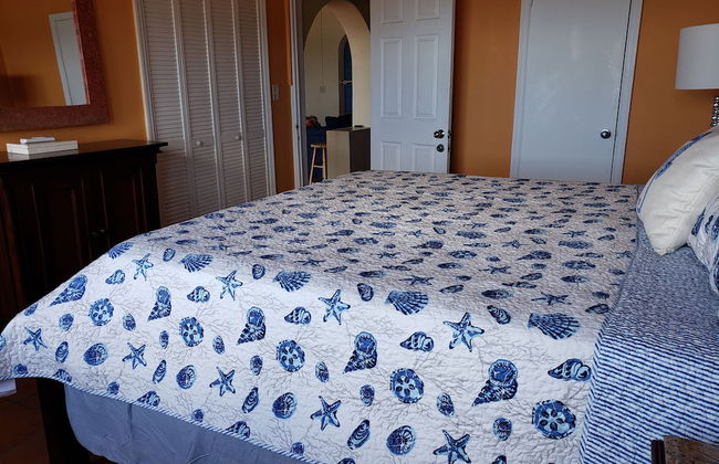 Little Indigo Apartments - Photo 5