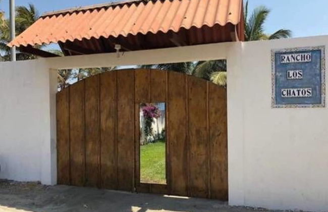 Rancho Los Chatos - Photo 52