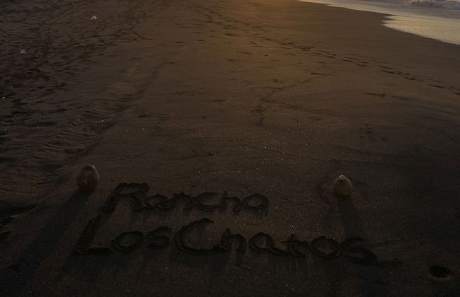 Rancho Los Chatos - Photo 58