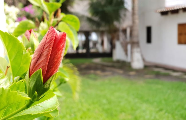 Rancho Los Chatos - Photo 49