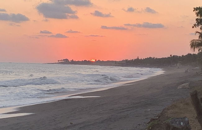 Rancho Los Chatos - Photo 60