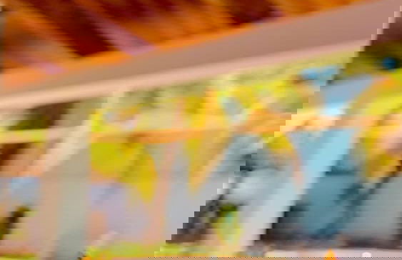 Rancho Los Chatos - Photo 13