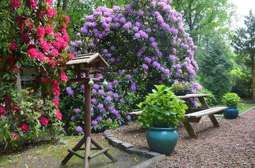 Photo 15 - Detached Bungalow With Outdoor Fireplace