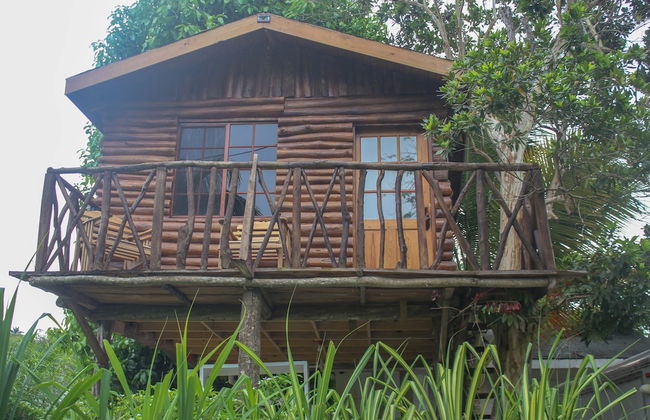 The Blue Mahoe Treehouse - Foto 33