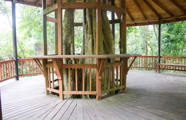 The Blue Mahoe Treehouse - Foto 14