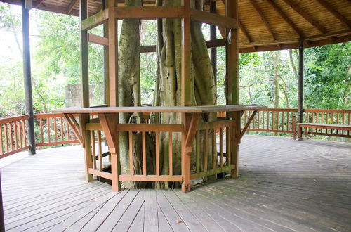 Photo 14 - The Blue Mahoe Treehouse