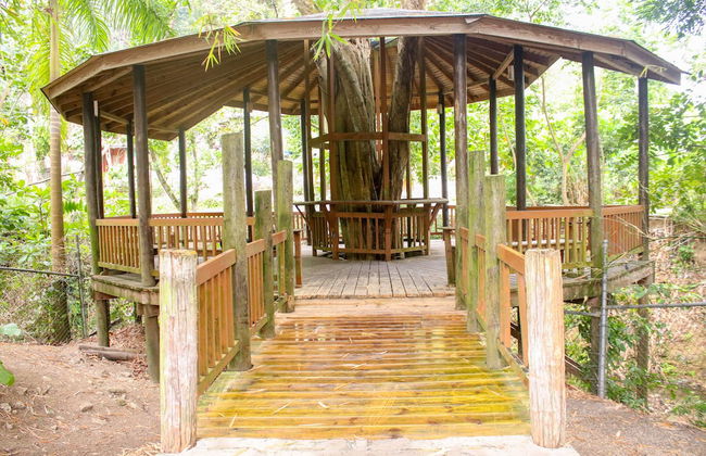 The Blue Mahoe Treehouse - Foto 15