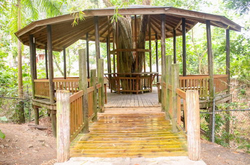 Photo 15 - The Blue Mahoe Treehouse