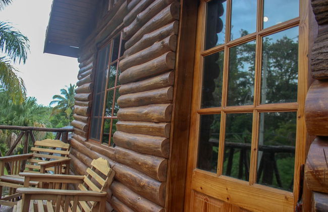 The Blue Mahoe Treehouse - Foto 17
