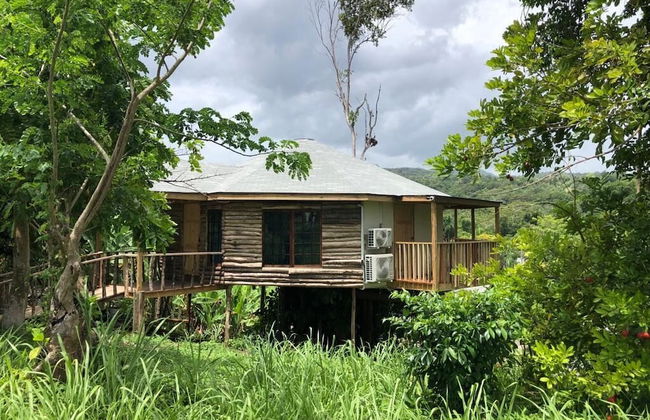 The Blue Mahoe Treehouse - Foto 35