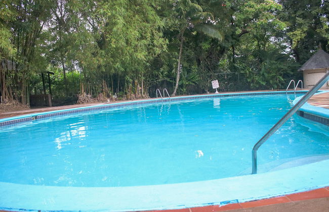 The Blue Mahoe Treehouse - Foto 26