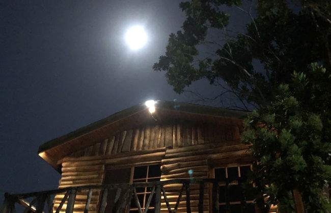 The Blue Mahoe Treehouse - Foto 1
