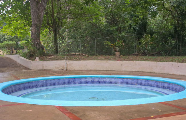 The Blue Mahoe Treehouse - Foto 25