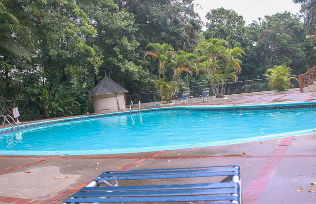 The Blue Mahoe Treehouse - Foto 28