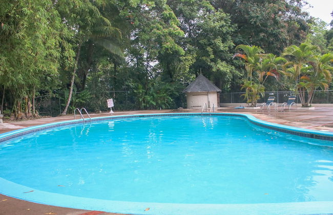 The Blue Mahoe Treehouse - Foto 27