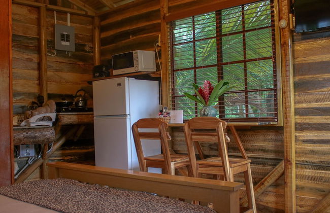 The Blue Mahoe Treehouse - Foto 12
