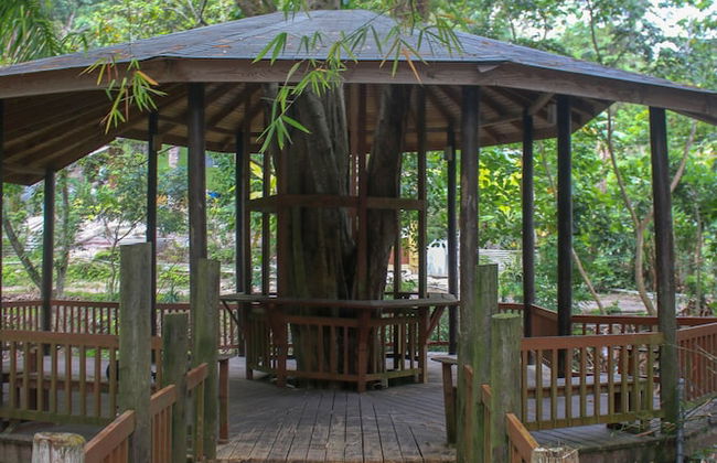 The Blue Mahoe Treehouse - Foto 16