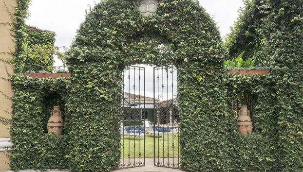 Ingresso interno