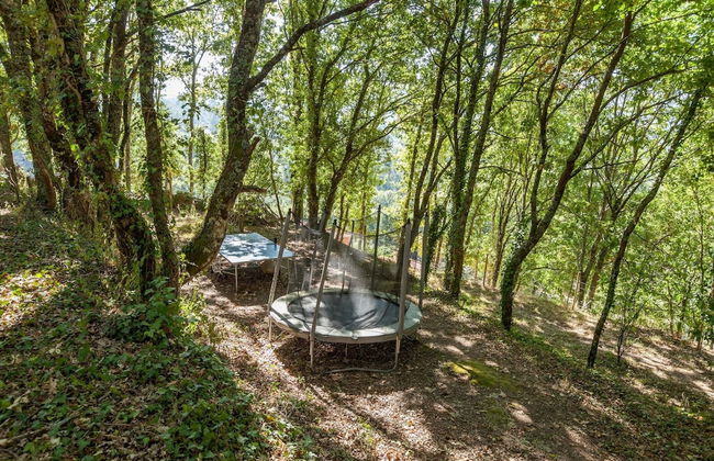 Forest House Casinha do Carvalhal - Foto 16