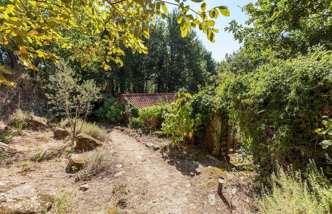 Forest House Casinha do Carvalhal - Photo 22