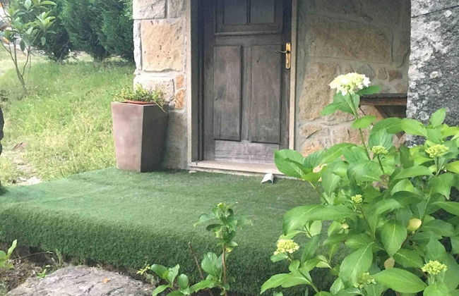 Forest House Casinha do Carvalhal - Photo 24