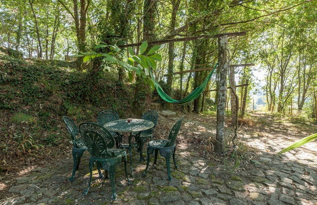 Forest House Casinha do Carvalhal - Photo 27