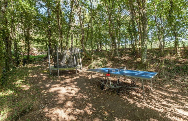 Forest House Casinha do Carvalhal - Foto 23