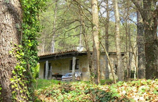 Forest House Casinha do Carvalhal - Foto 30