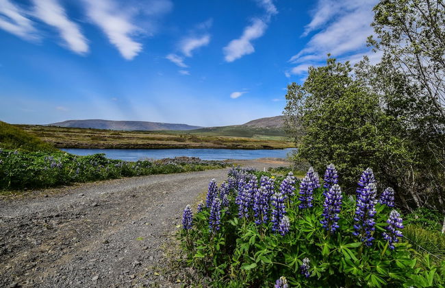 Brún cottage - Foto 12