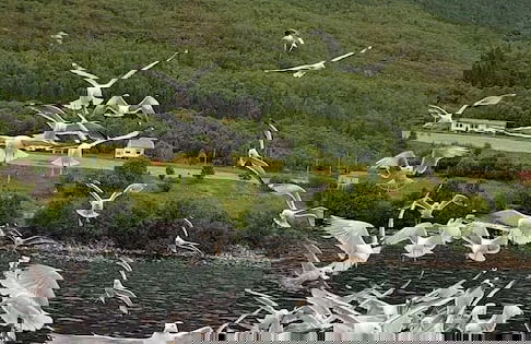 Fiskesenter Birkeland - Foto 46