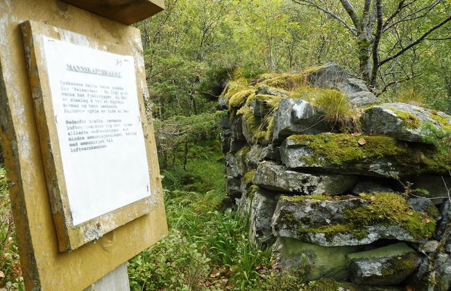 Fiskesenter Birkeland - Foto 47