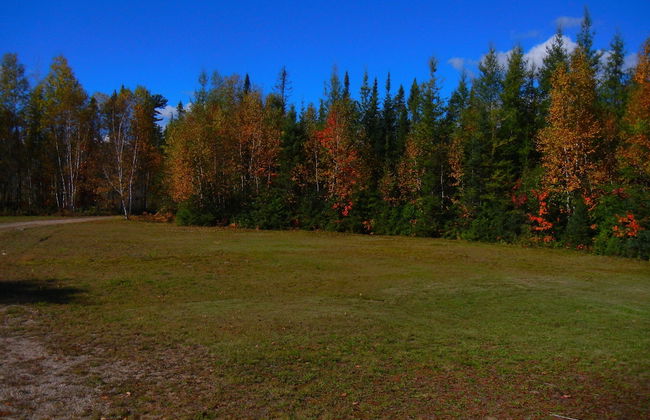 The Shores of Deer Lake - Foto 10