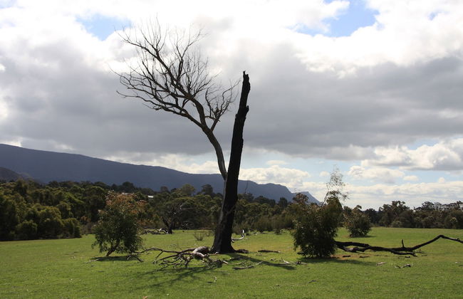 Boroka Downs - Foto 37