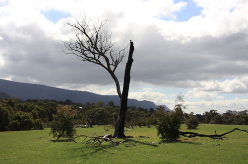 Photo 37 - Boroka Downs