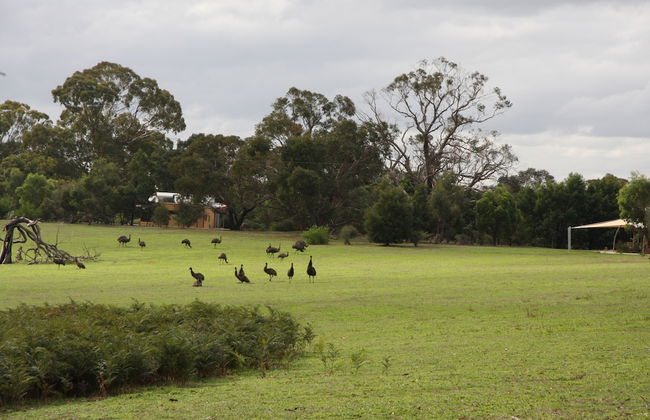 Boroka Downs - Foto 15