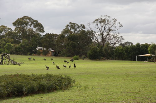 Photo 15 - Boroka Downs