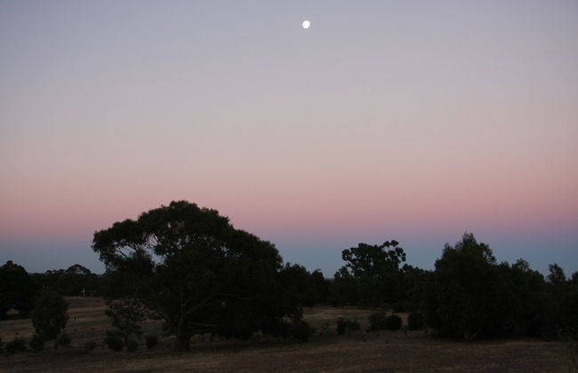 Boroka Downs - Foto 28