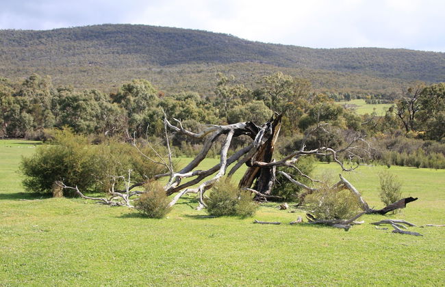 Boroka Downs - Foto 36