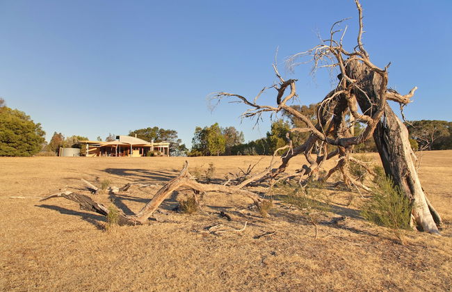 Boroka Downs - Foto 18