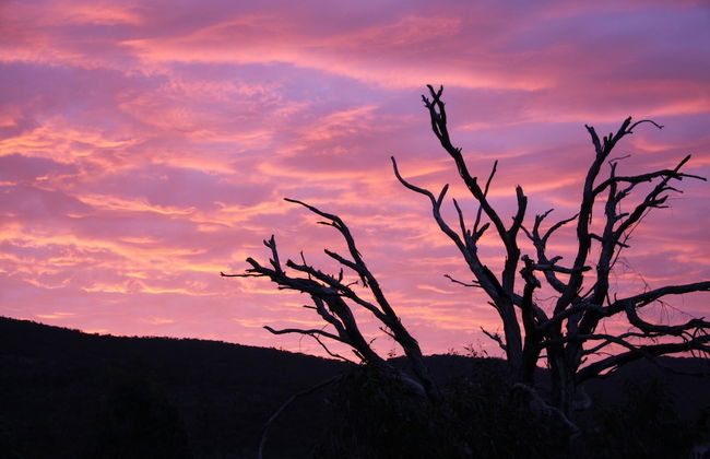 Boroka Downs - Foto 17
