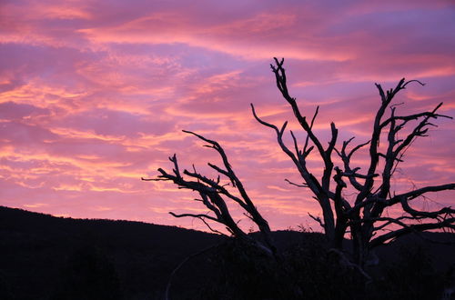 Photo 17 - Boroka Downs