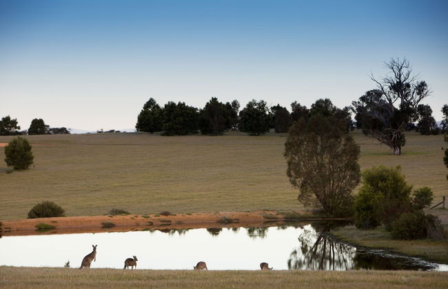 Boroka Downs - Foto 32