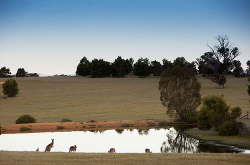 Foto 32 - Boroka Downs