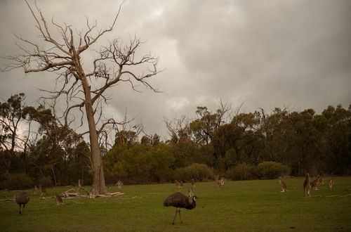 Foto 20 - Boroka Downs