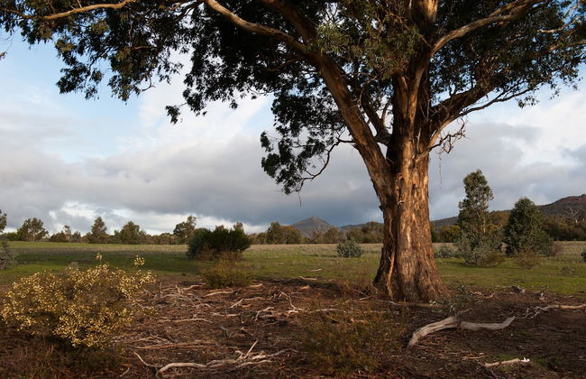 Boroka Downs - Foto 19