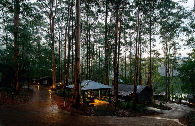 RAC Karri Valley Resort - Foto 65