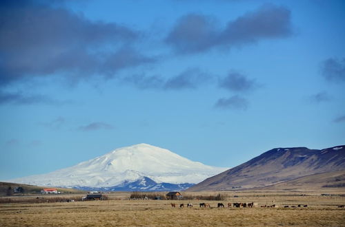 Photo 17 - Volcano apartments - In a rural location