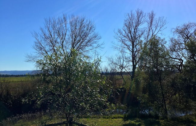 Abington Farm - Photo 20